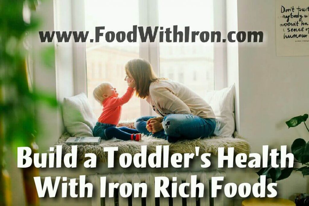 Iron Rich Foods for Toddlers